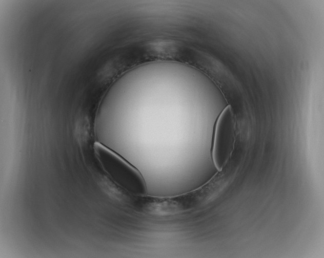 X0000113150752200909110954