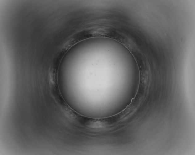 X0000113150755200909110954