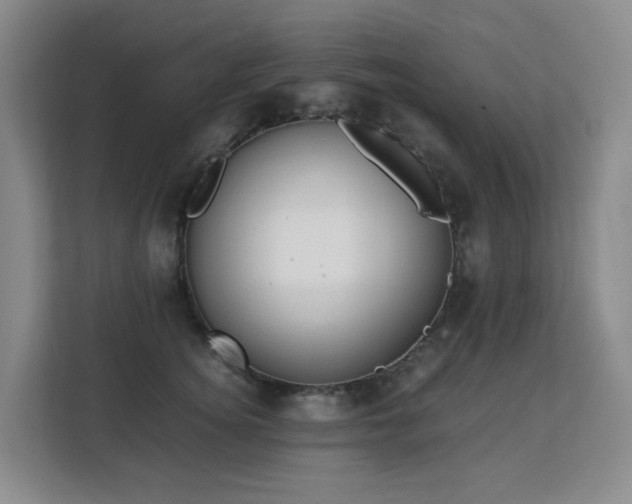 X0000113150756200909110954