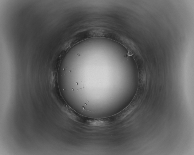 X0000113150759200909110954