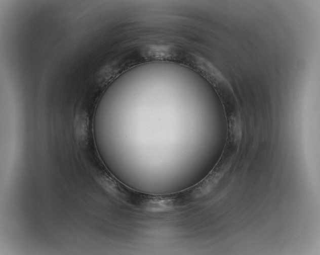 X0000113150760200909110954