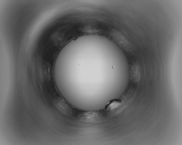 X0000113150762200909110954