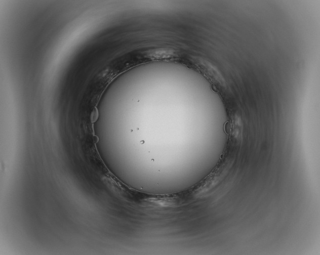 X0000113150763200909110954