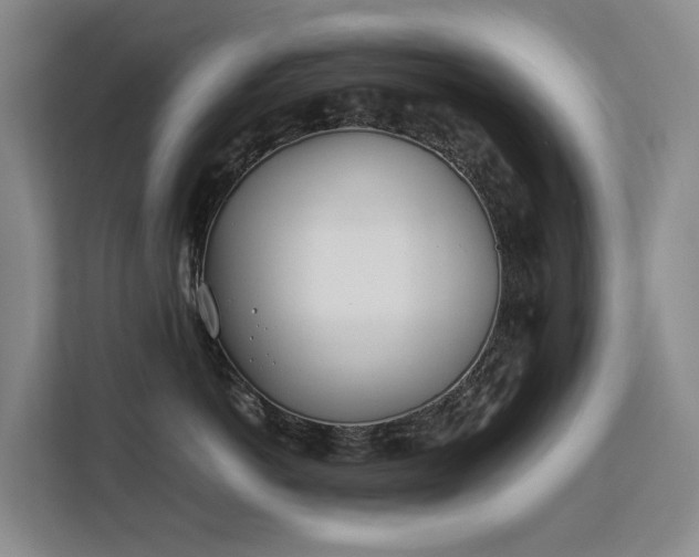 X0000113150766200909110954