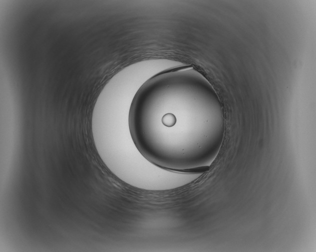 X0000113150768200909110954