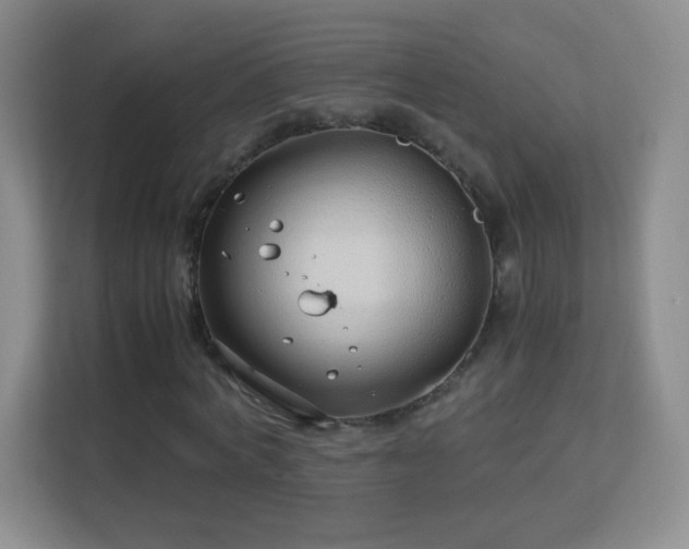 X0000113150772200909110953