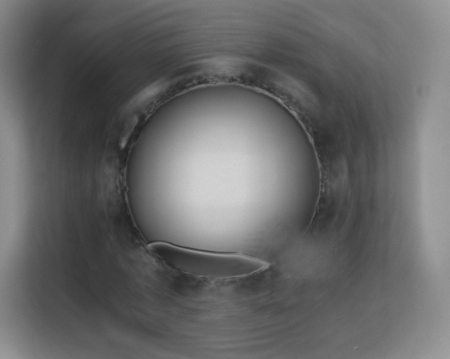 X0000113150773200909110953