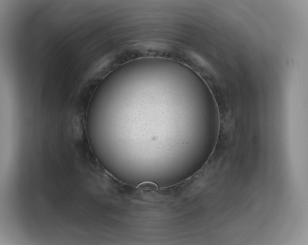 X0000113150774200909110953