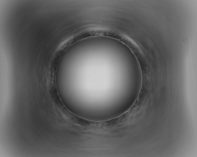 X0000113150775200909110953