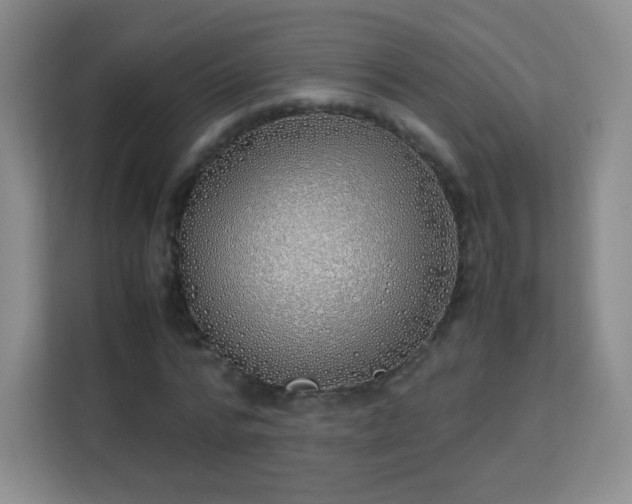 X0000113150776200909110953