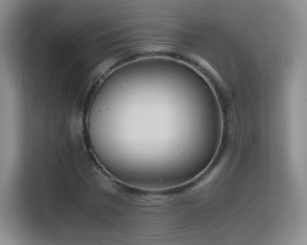 X0000113150777200909110953