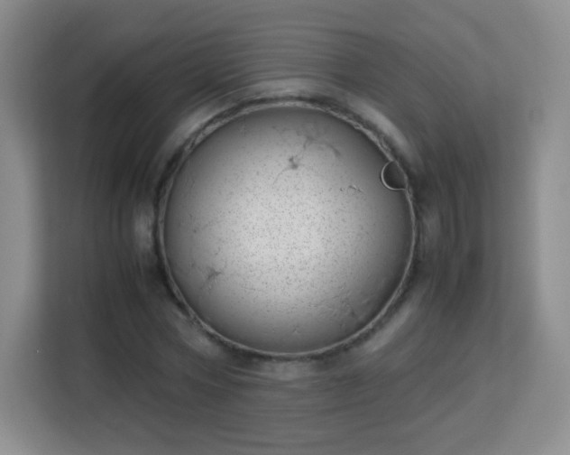 X0000113150778200909110953