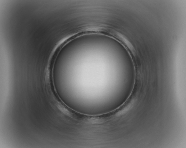 X0000113150779200909110953