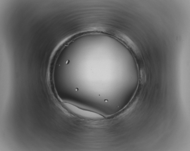 X0000113150780200909110953