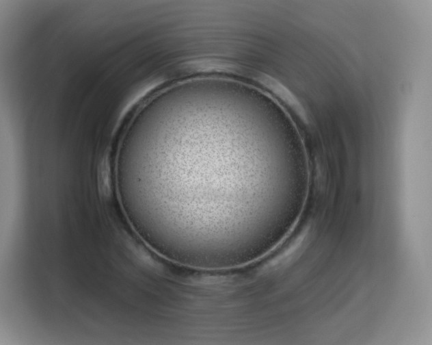 X0000113150782200909110953