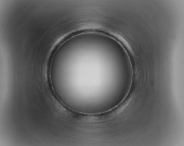 X0000113150783200909110953