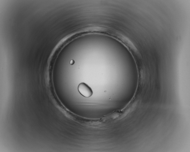 X0000113150784200909110953