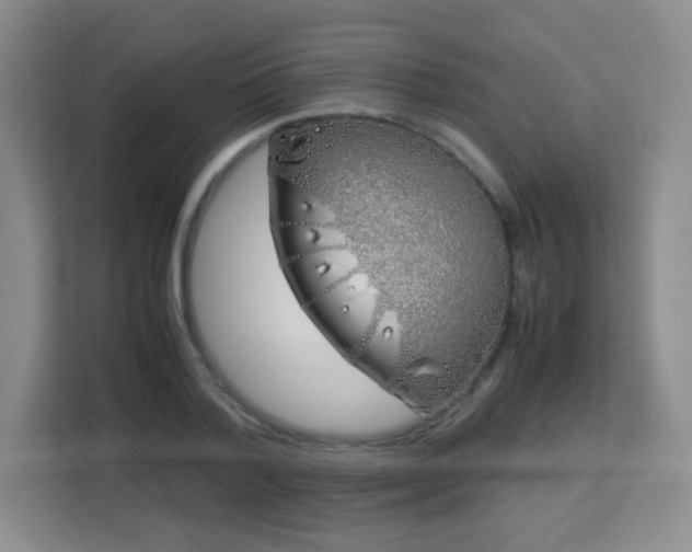 X0000113150788200909110953