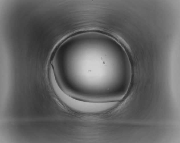 X0000113150789200909110953