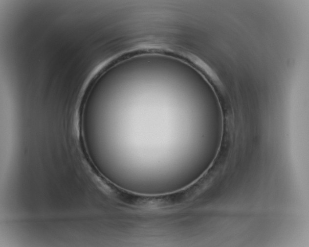 X0000113150791200909110953