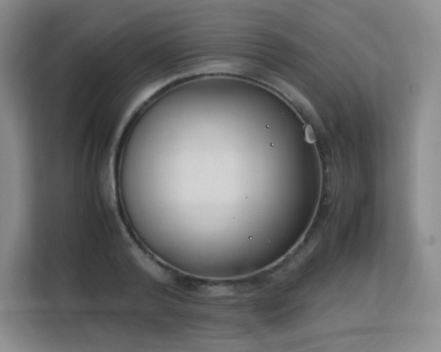 X0000113150792200909110953