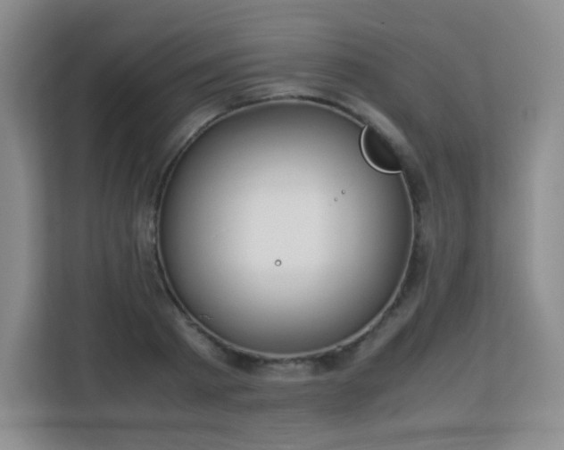 X0000113150793200909110953