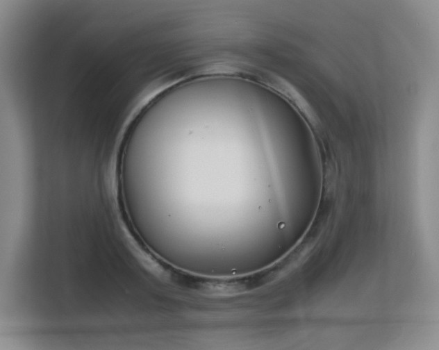 X0000113150795200909110953