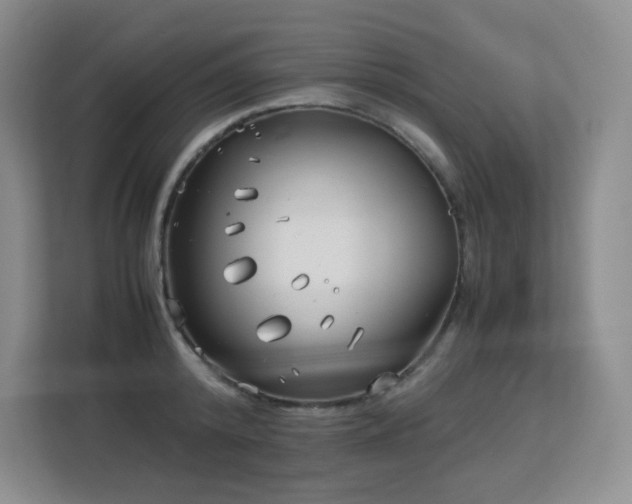 X0000113150800200909110953