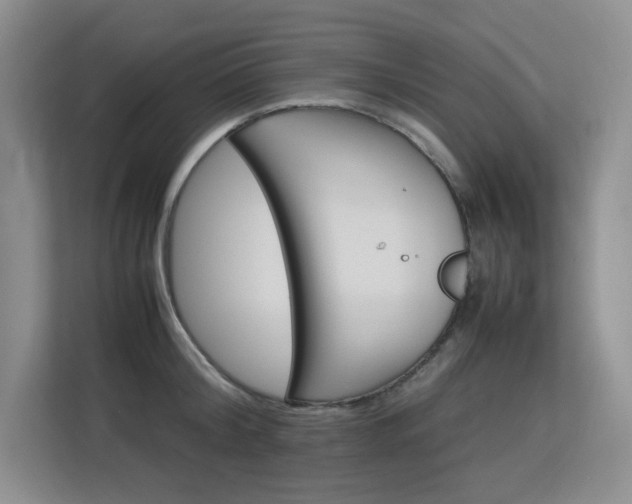 X0000113150804200909110953