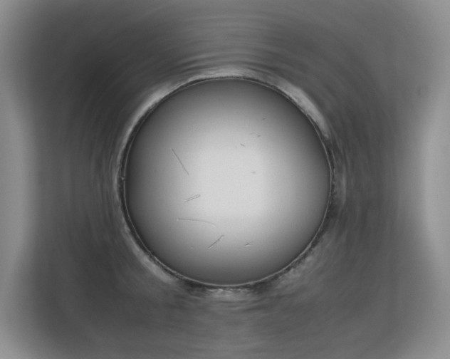 X0000113150805200909110953