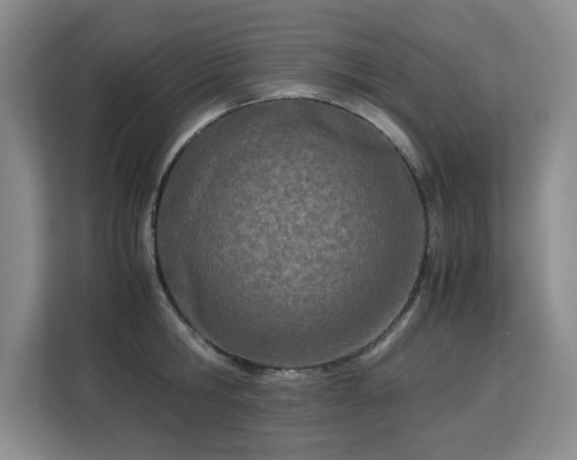 X0000113150806200909110953