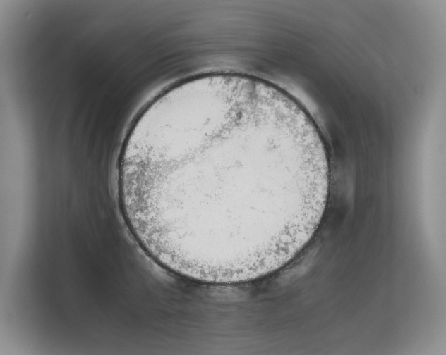 X0000113150807200909110953