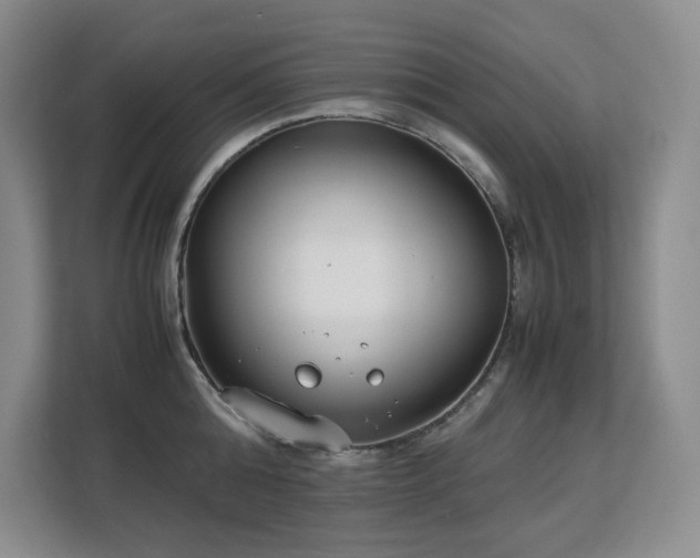 X0000113150808200909110953