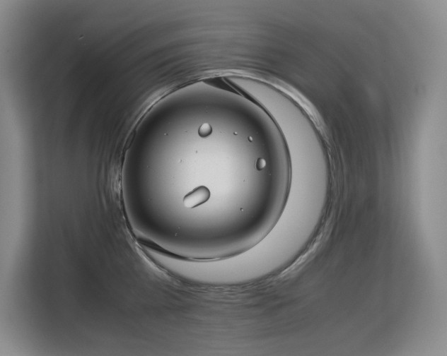 X0000113150809200909110953