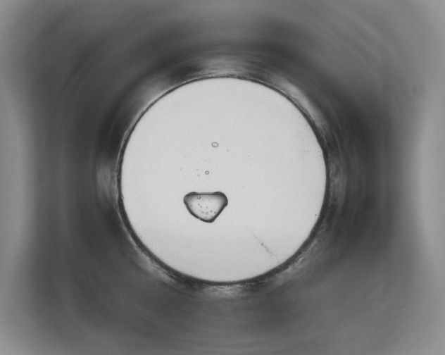 X0000113150810200909110953