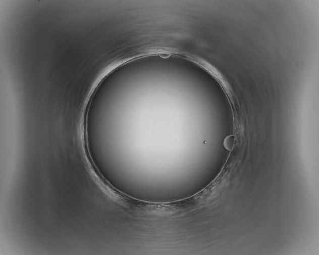 X0000113150811200909110953