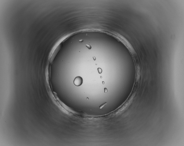 X0000113150812200909110953