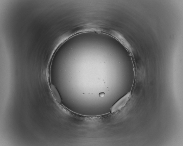 X0000113150813200909110953