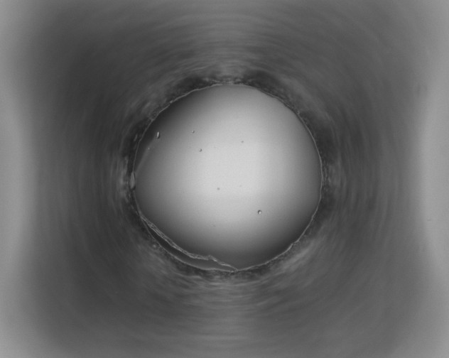 X0000113150818200909110952