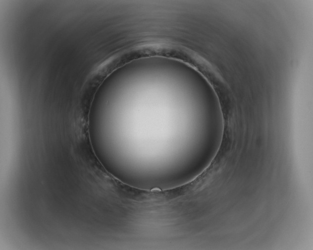 X0000113150822200909110952