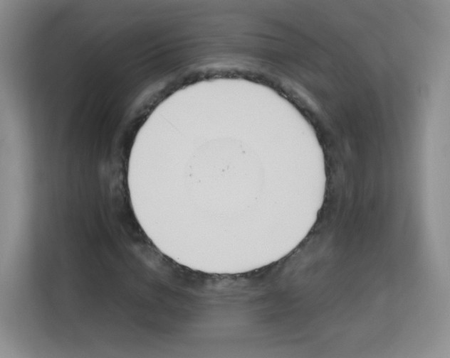 X0000113150824200909110952