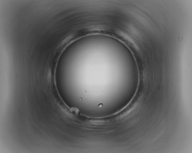 X0000113150825200909110952