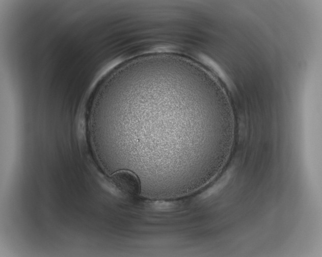 X0000113150827200909110952