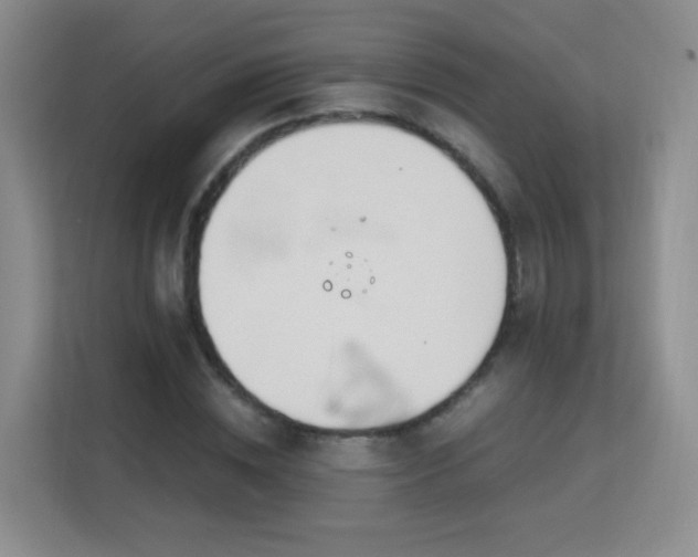 X0000113150828200909110952