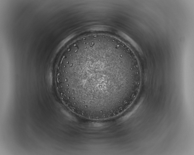 X0000113150829200909110952