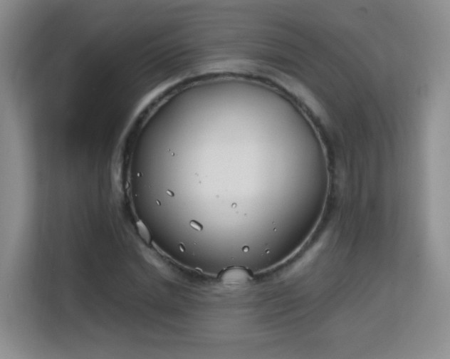 X0000113150830200909110952