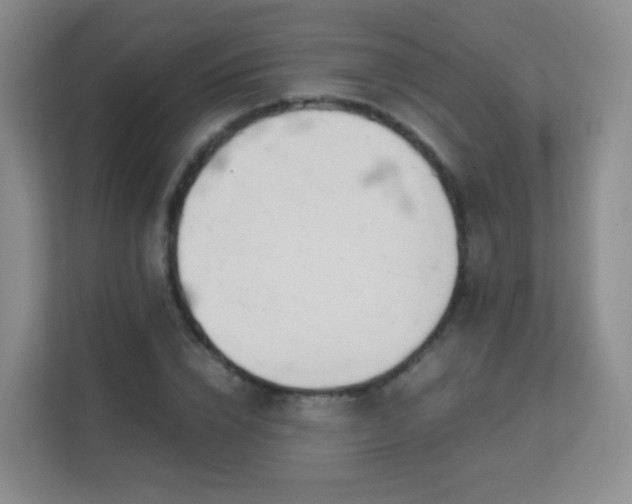 X0000113150832200909110952