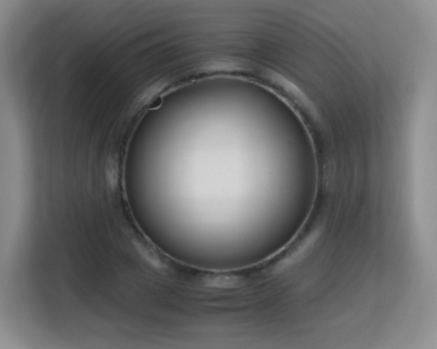 X0000113150833200909110952