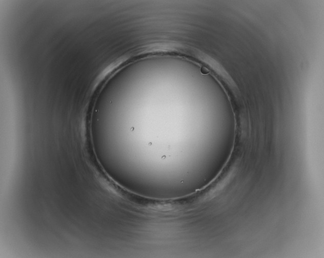 X0000113150834200909110952