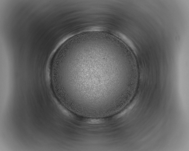 X0000113150835200909110952